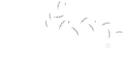 Calliance Logo